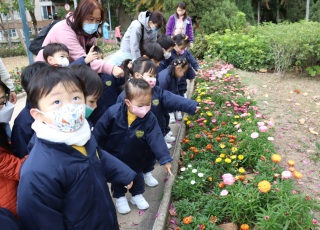 幼兒班遊公園─賞花